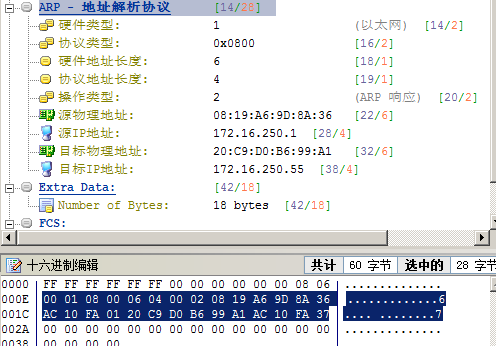 老马识途 第5页