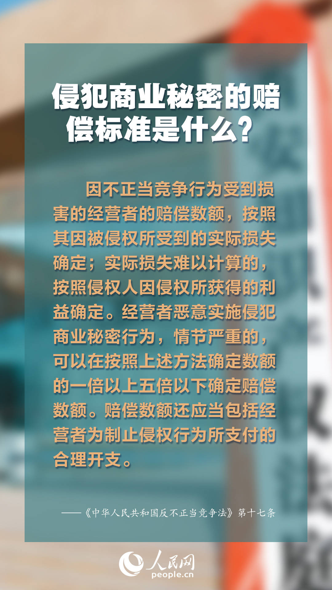 2024年新出的免费资料,探索未来知识宝库，2024年新出的免费资料概览