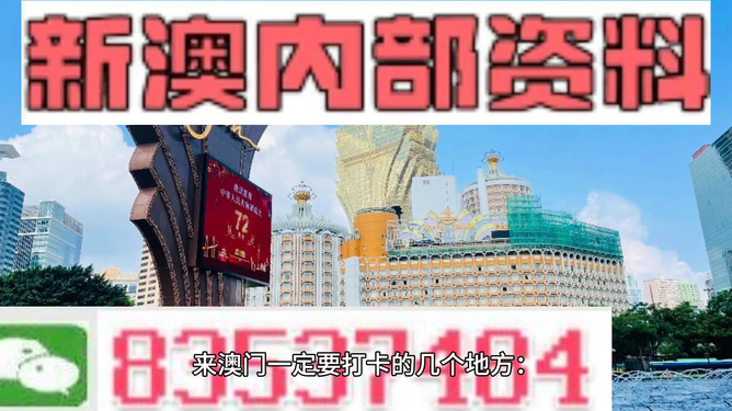 2024年澳门免费公开资料,迈向未来，2024年澳门免费公开资料的展望