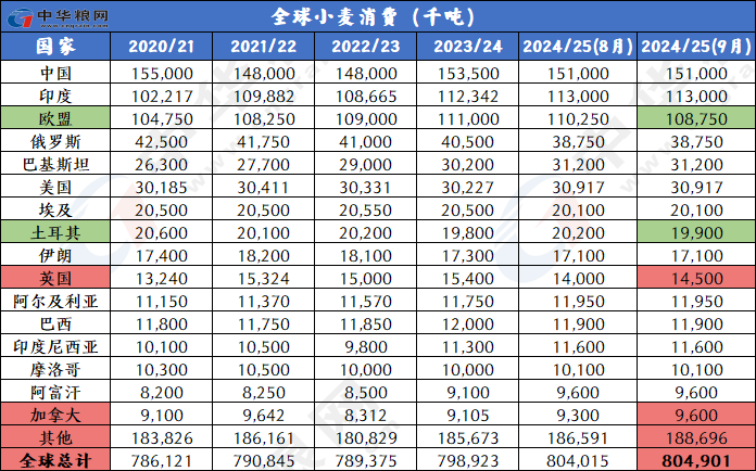 2024新奥历史开奖记录49期,揭秘新奥历史开奖记录，第49期的精彩瞬间与背后故事（2024年）