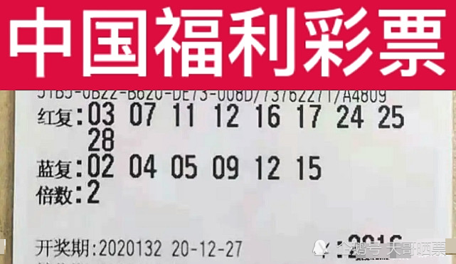 2024新澳门今晚开奖号码和香港,新澳门今晚开奖号码与香港彩票展望