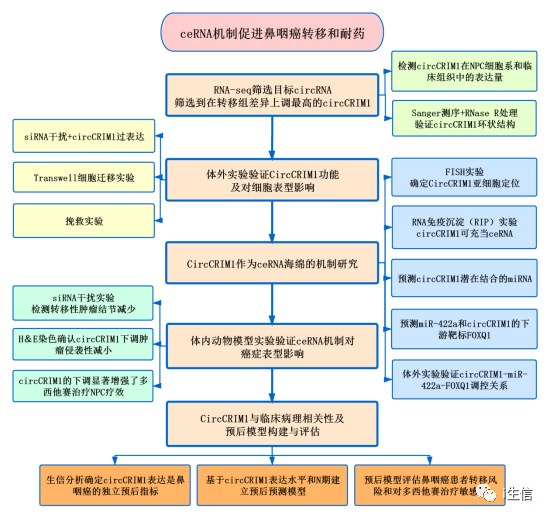 鸡犬不宁 第2页