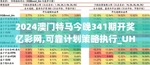 2024澳门特马最准网站,澳门特马最准网站——探索精准预测的未来之门