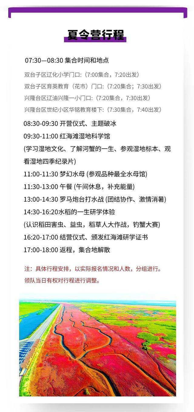 白小姐449999精准一句诗,白小姐449999精准一句诗，探索智慧与魅力的独特韵味