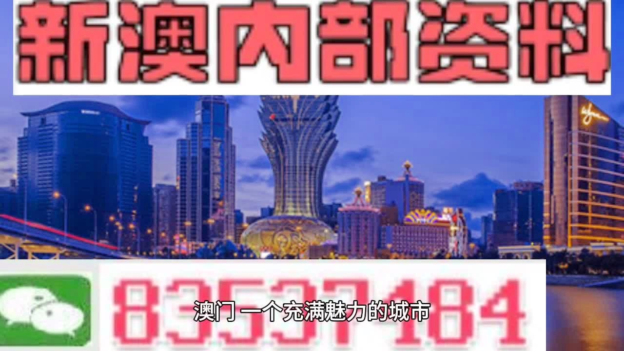 澳门精准正版资料63期,澳门精准正版资料第63期深度解析